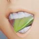 Pointed Tongue3.png